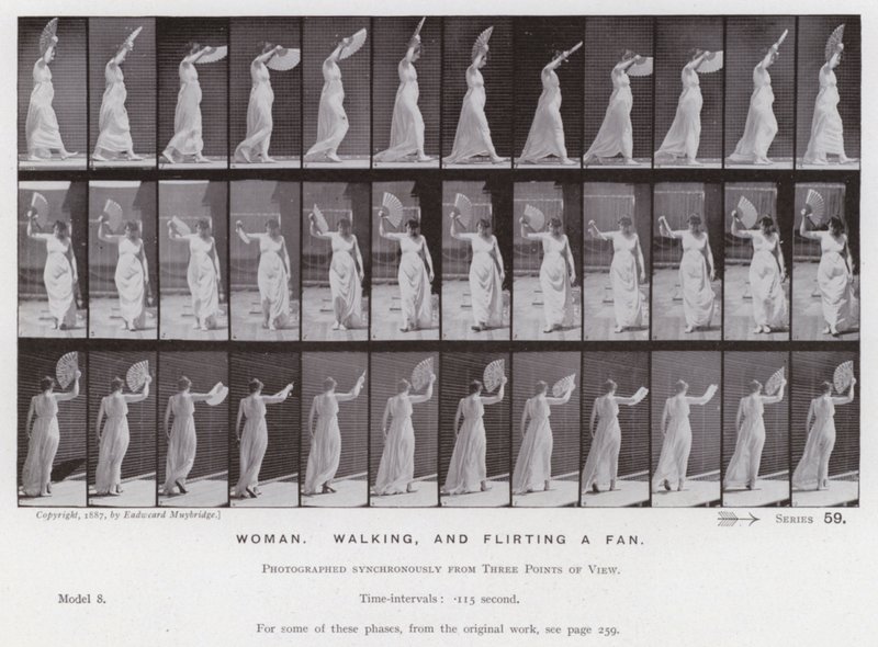 The Human Figure in Motion: Kvinna som går och flirtar ett fan (s/v-foto) av Eadweard Muybridge
