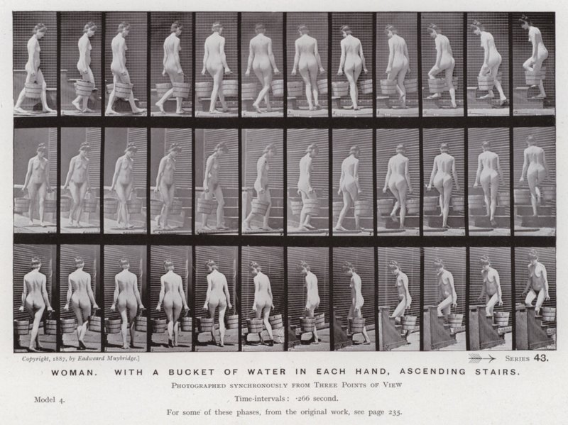 Den mänskliga figuren i rörelse: Kvinna, med en hink vatten i varje hand, uppför trappor av Eadweard Muybridge