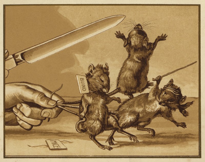 Illustration för tre blinda möss (färg litho) av Edmund G. Caldwell