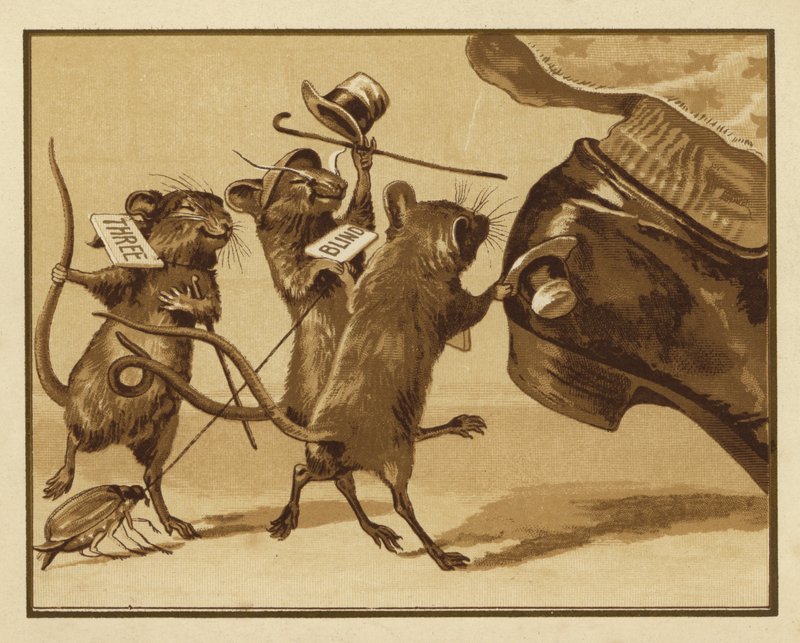 Illustration för tre blinda möss (färg litho) av Edmund G. Caldwell