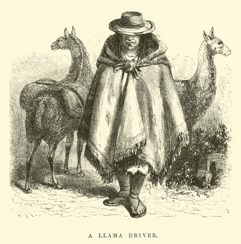 En lamaförare av Edouard Riou