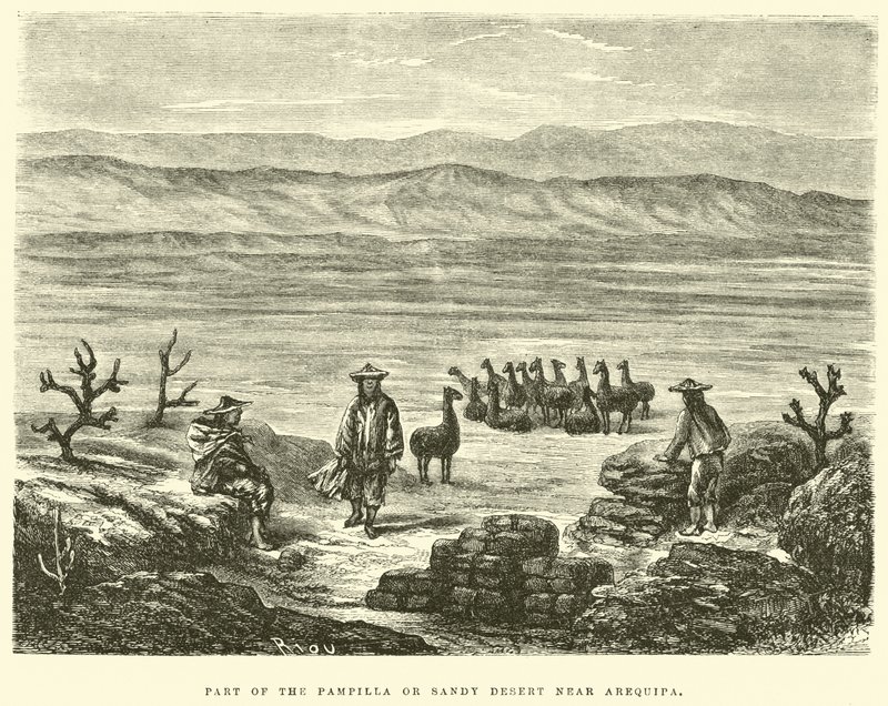 En del av Pampilla eller Sandy Desert nära Arequipa av Edouard Riou
