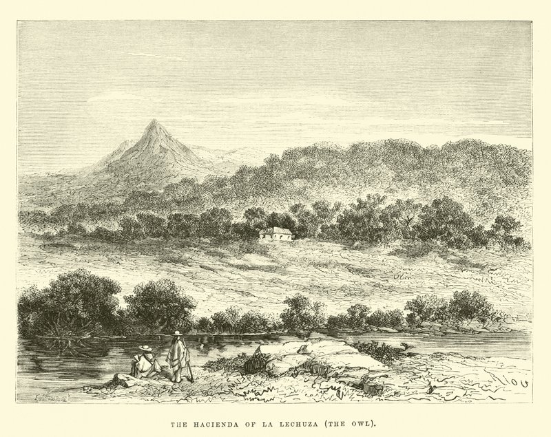 Hacienda La Lechuza, Ugglan av Edouard Riou