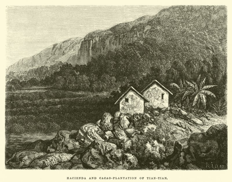 Hacienda och Cacao-plantage av Tian-tian av Edouard Riou