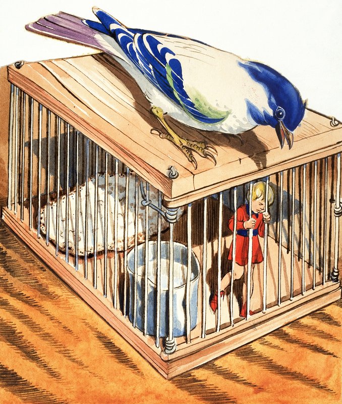 Tom Thumb i en fågelbur av Eduardo Teixeira Coelho