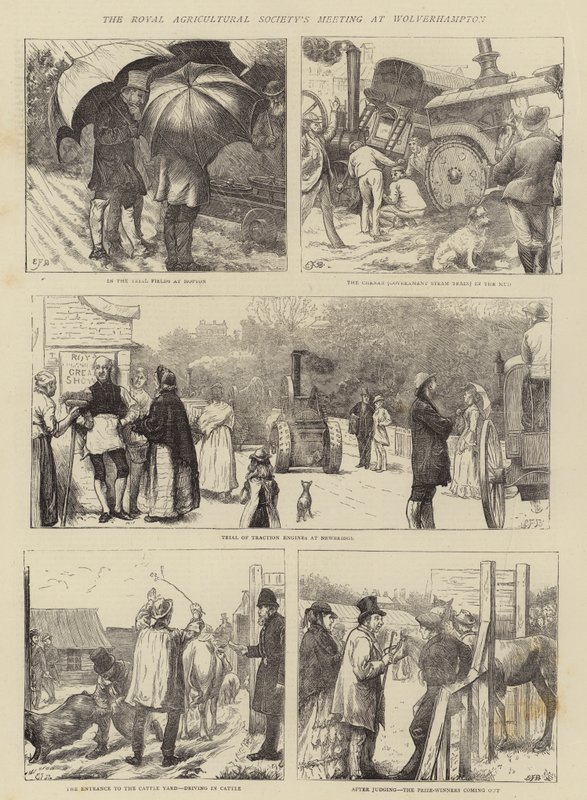 Royal Agricultural Societys möte i Wolverhampton av Edward Frederick Brewtnall