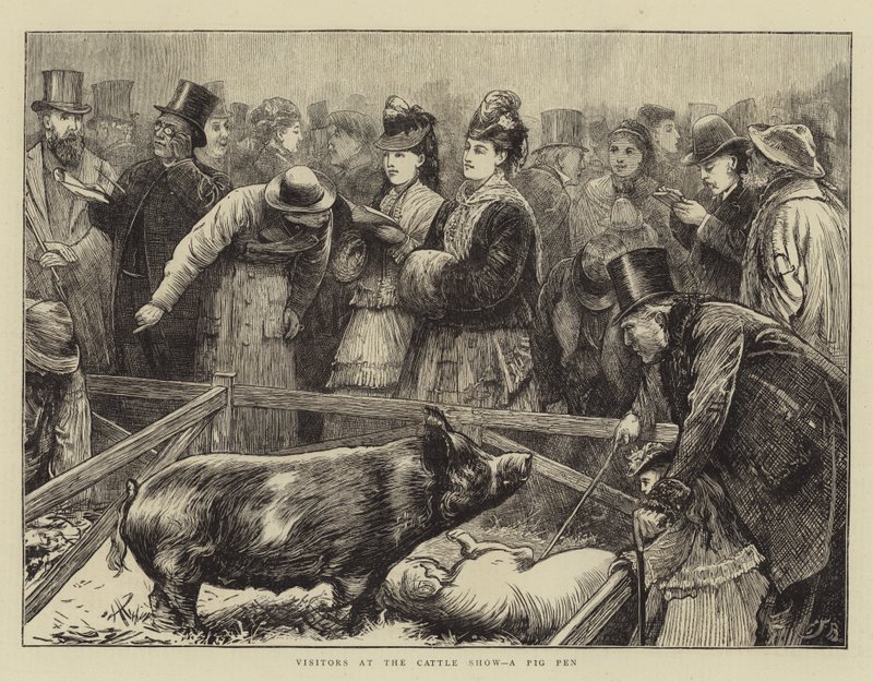 Besökare på boskapsmässan, en grisfack av Edward Frederick Brewtnall