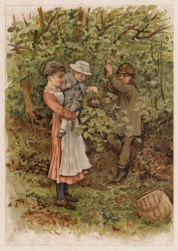 Flapsy och Pecksy av Edward Killingworth Johnson