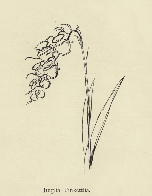 Jinglia Tinkettlia av Edward Lear