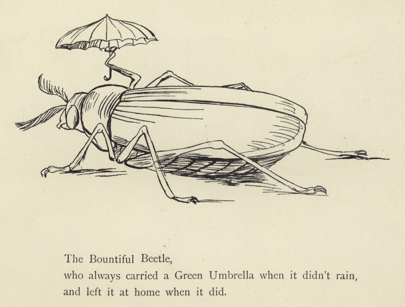 Den generösa skalbaggen av Edward Lear