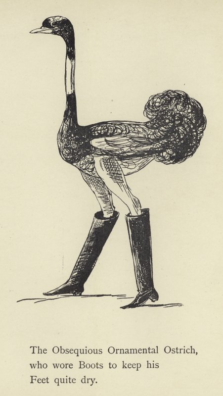 Den underdåniga prydnadsstrutsen av Edward Lear