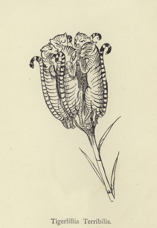 Tigerlillia Terribilis av Edward Lear