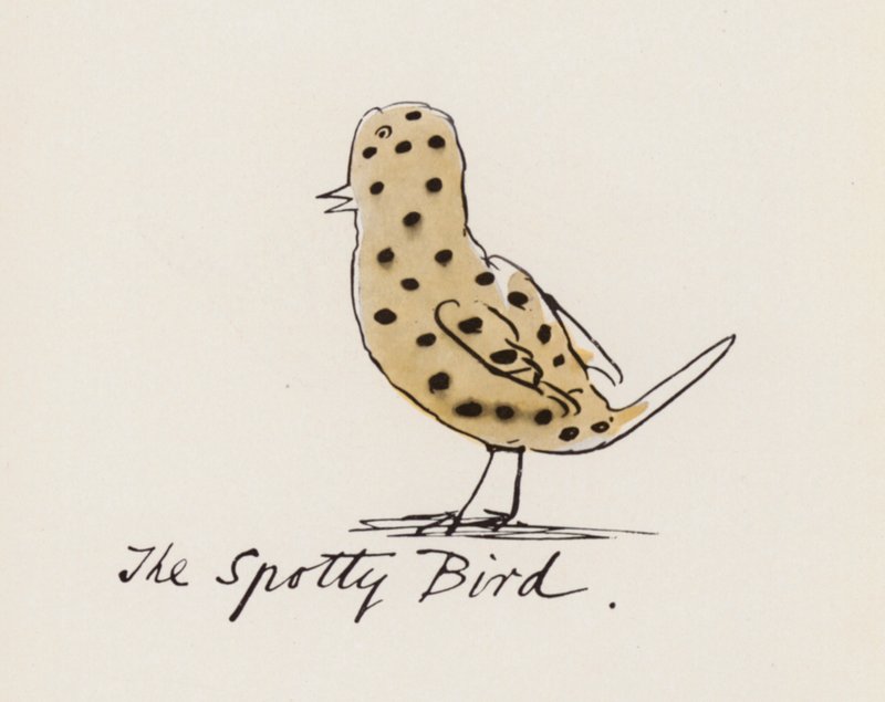 Edward Lear, The Bird Book: The Spotty Bird (lito i färg) av Edward (after) Lear