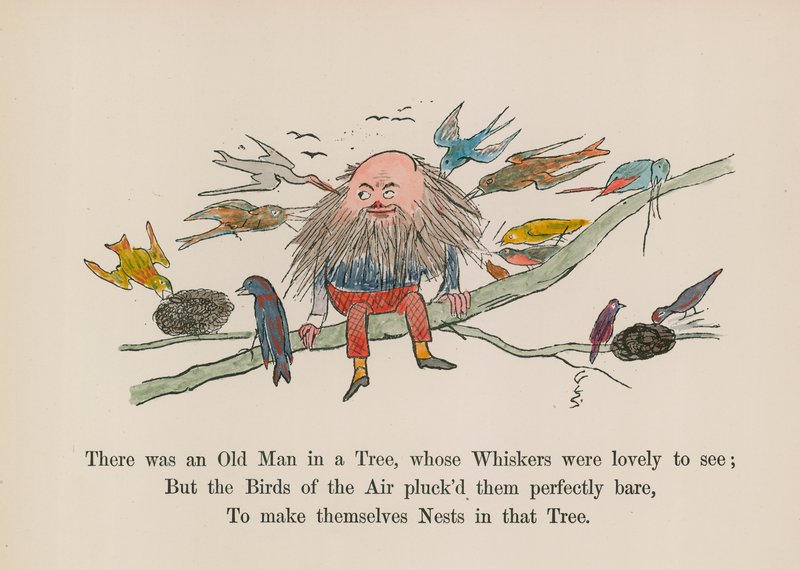 Det fanns en gammal man i ett träd, vars morrhår var vackra att se (färggravyr) av Edward (after) Lear