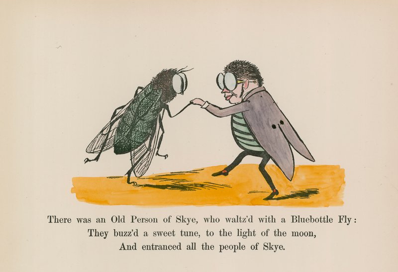 Det var en gammal person från Skye, som valsade med en Bluebottle Fly (färgad gravyr) av Edward (after) Lear