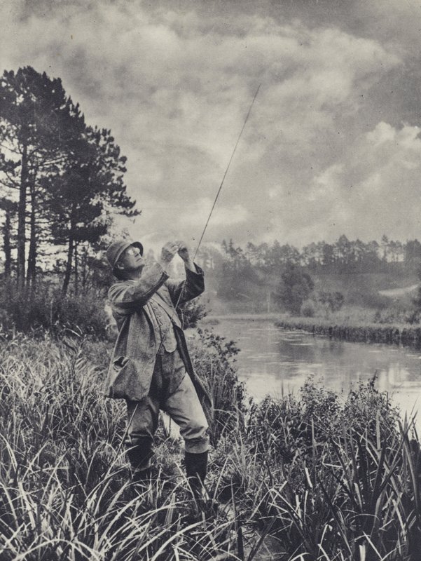 En knölig punkt (svartvitt foto) av Edward Alfred Barton