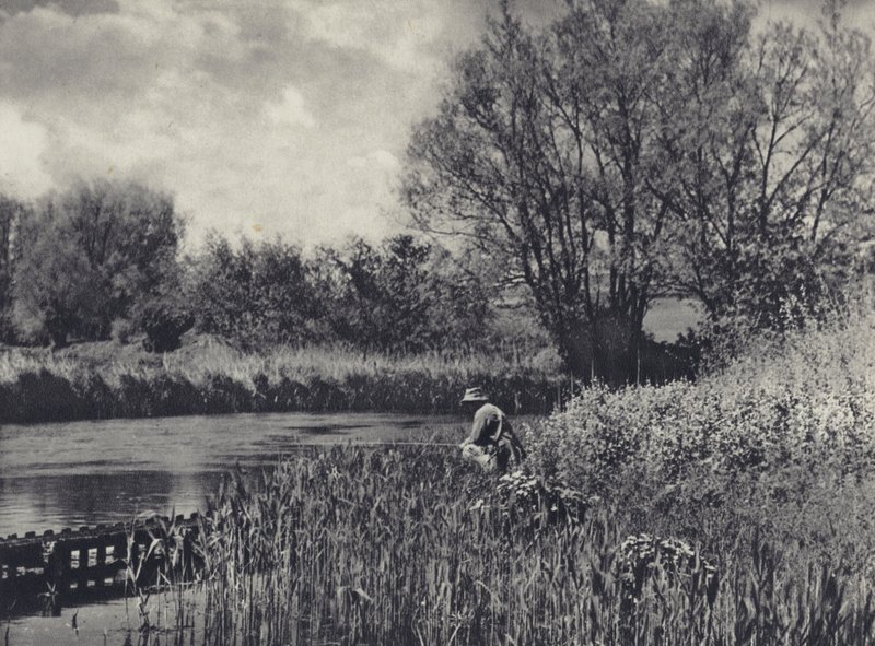 Maj-tid på ett testbiflöde (svartvitt foto) av Edward Alfred Barton