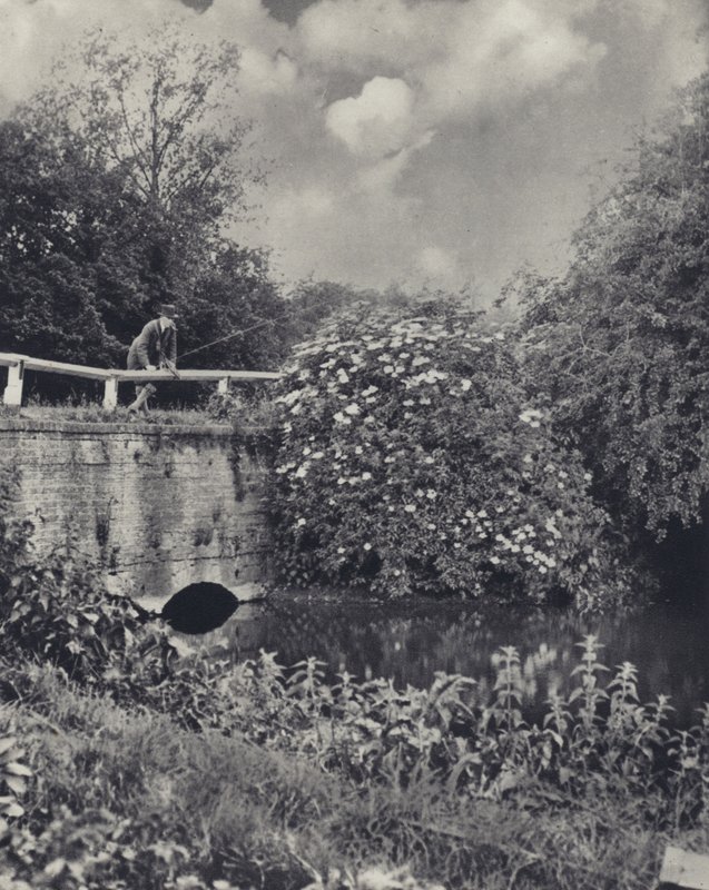 Kanalbron över Frays, Uxbridge (svartvitt foto) av Edward Alfred Barton