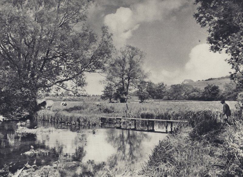 Vattenängar i nedre delen av Itchen (svartvitt foto) av Edward Alfred Barton