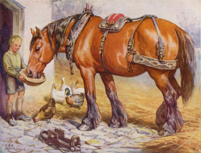 Pojke som matar en häst på en gård (färg litho) av Edward Brice Montefiore
