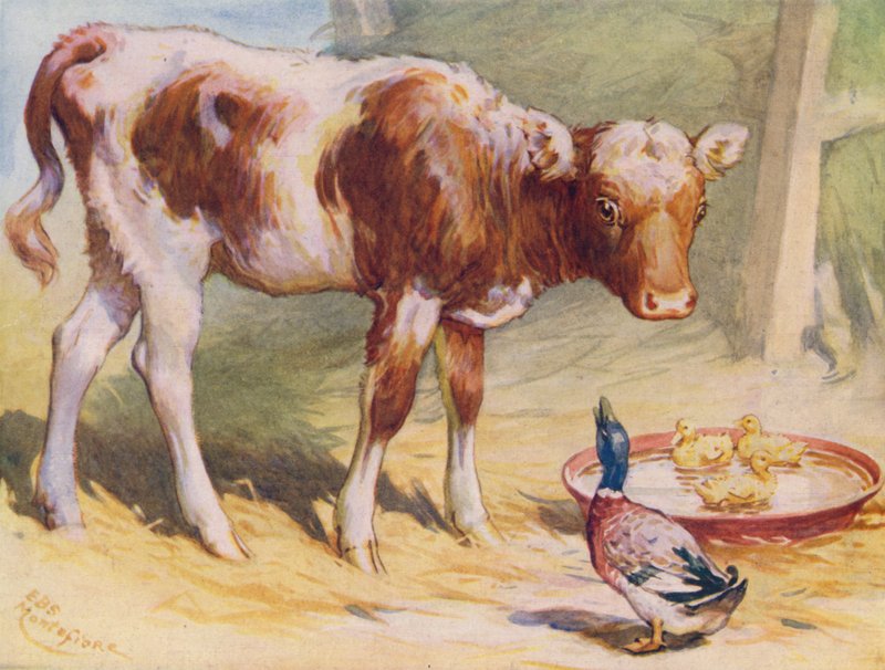 Kalv och ankor (färg litho) av Edward Brice Montefiore