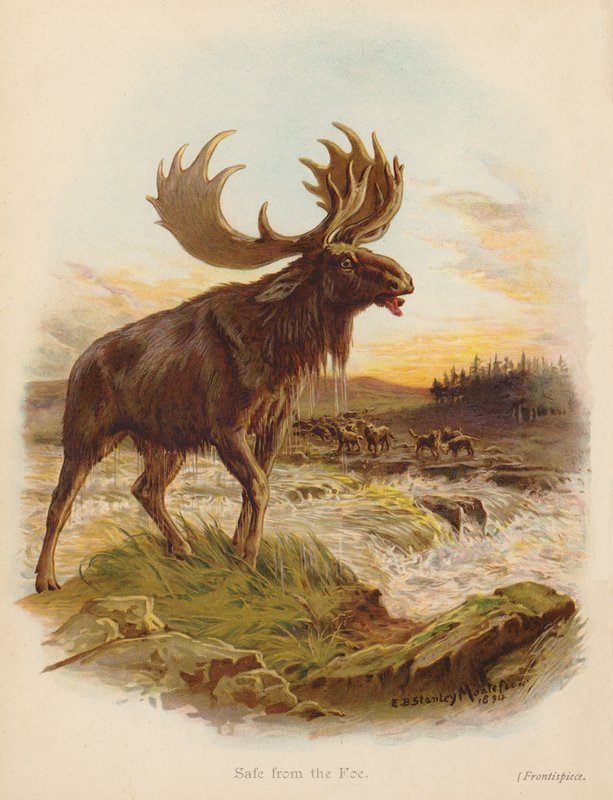 I säkerhet från fienden (färglitografi) av Edward Brice Montefiore