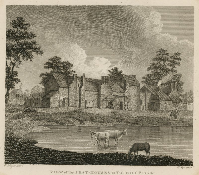 Utsikt över skadedjurshusen vid Tothill Fields, London av Edward Dayes