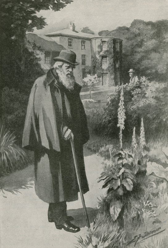 Charles Darwin i sin trädgård vid Down House (litografi) av Edward Frederick Skinner