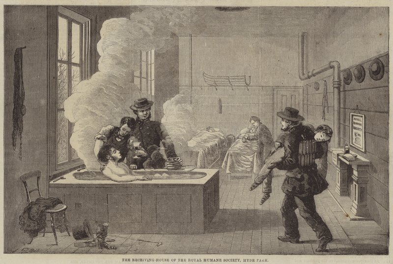 The Receiving-House of the Royal Humane Society, Hyde Park av Edward Hull