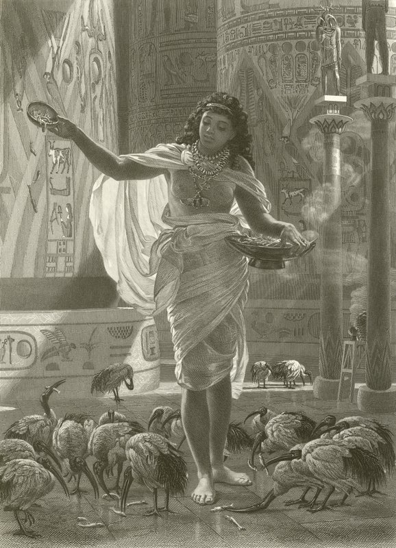 Matar den heliga ibisen i Karnacs hallar av Edward John Poynter