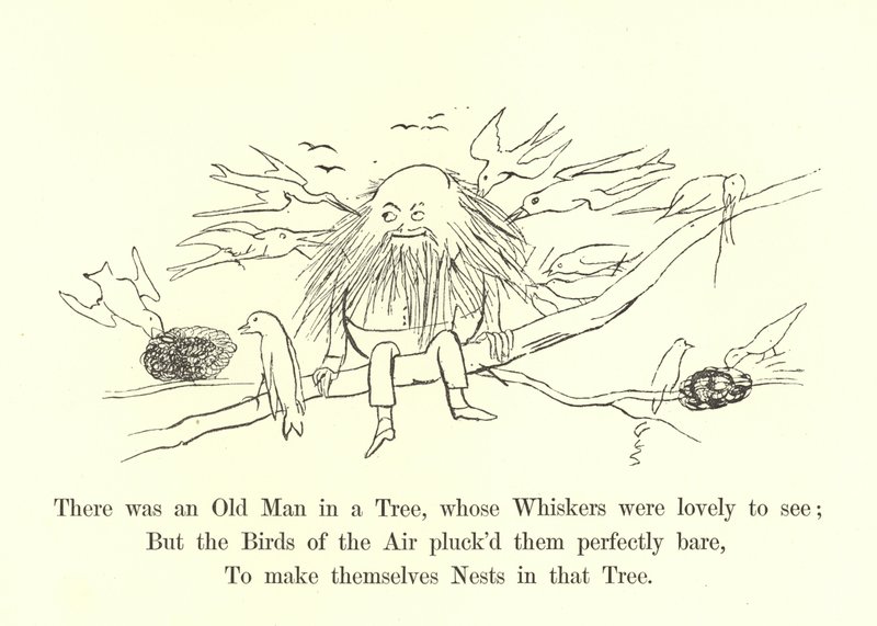 Det fanns en gammal man i ett träd, vars morrhår var underbara att se av Edward Lear