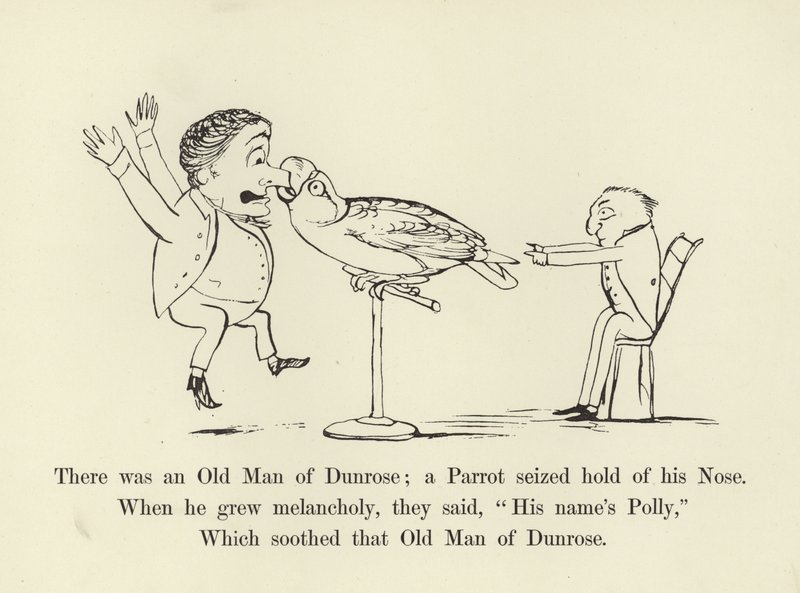 Det fanns en gammal man i Dunrose; en papegoja tog tag i hans näsa. av Edward Lear