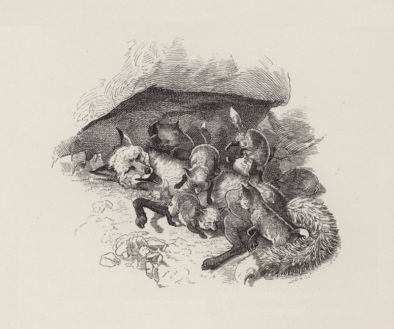 Illustration för The Water-Babies av Charles Kingsley (gravyr) av Edward Linley (after) Sambourne