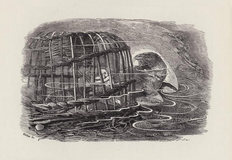 Illustration för The Water-Babies av Charles Kingsley (gravyr) av Edward Linley (after) Sambourne