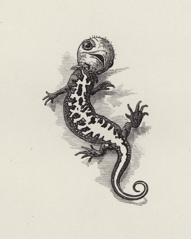 Illustration för The Water-Babies av Charles Kingsley (gravyr) av Edward Linley (after) Sambourne