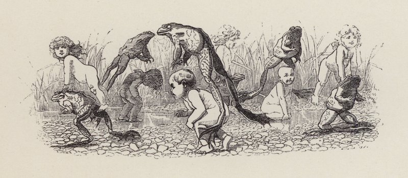 Illustration för The Water-Babies av Charles Kingsley (gravyr) av Edward Linley (after) Sambourne