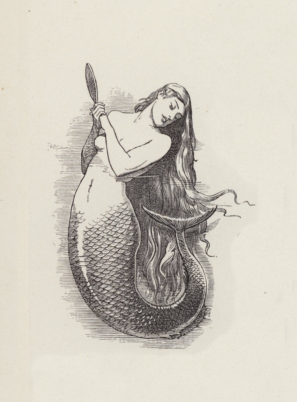 Illustration för The Water-Babies av Charles Kingsley (gravyr) av Edward Linley (after) Sambourne