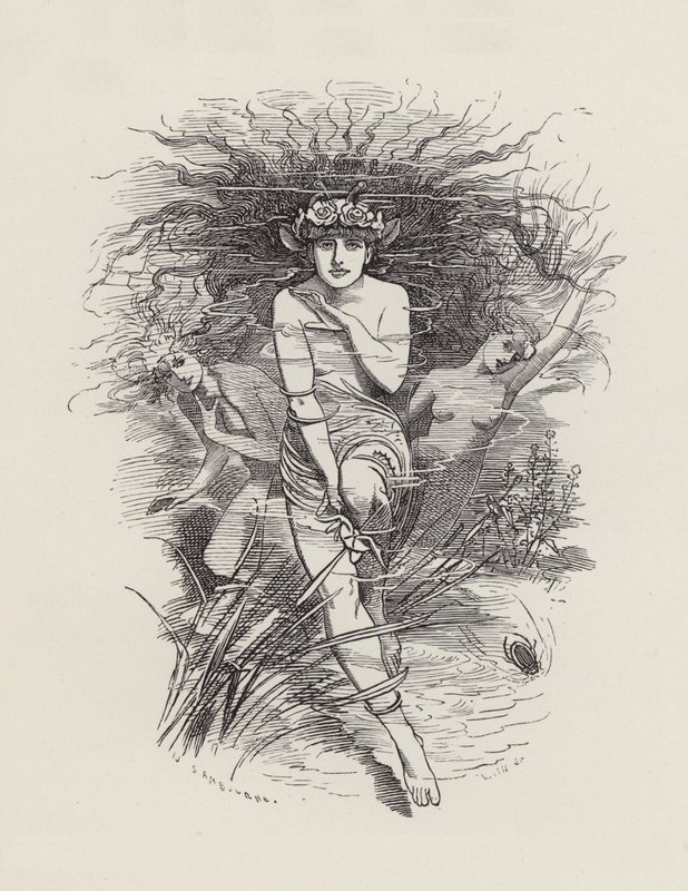 Illustration för The Water-Babies av Charles Kingsley (gravyr) av Edward Linley (after) Sambourne