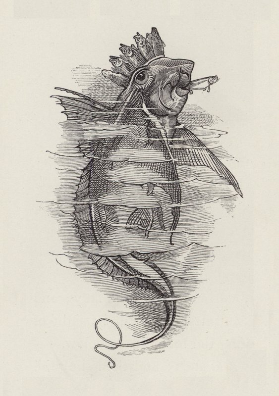 Illustration för The Water-Babies av Charles Kingsley (gravyr) av Edward Linley (after) Sambourne