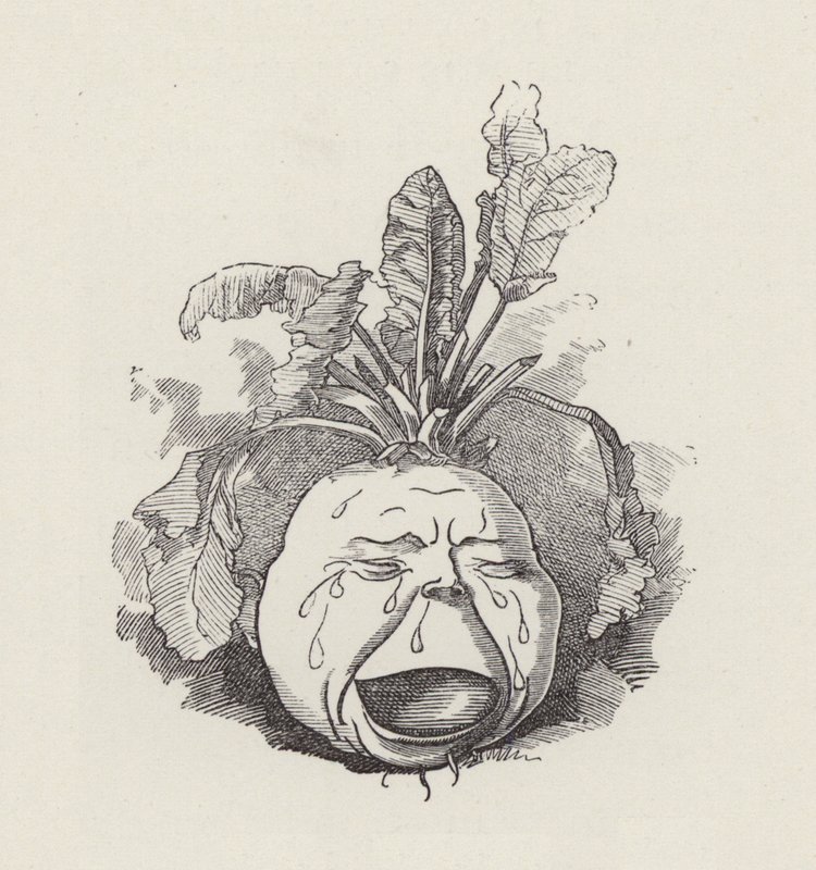 Illustration för The Water-Babies av Charles Kingsley (gravyr) av Edward Linley (after) Sambourne