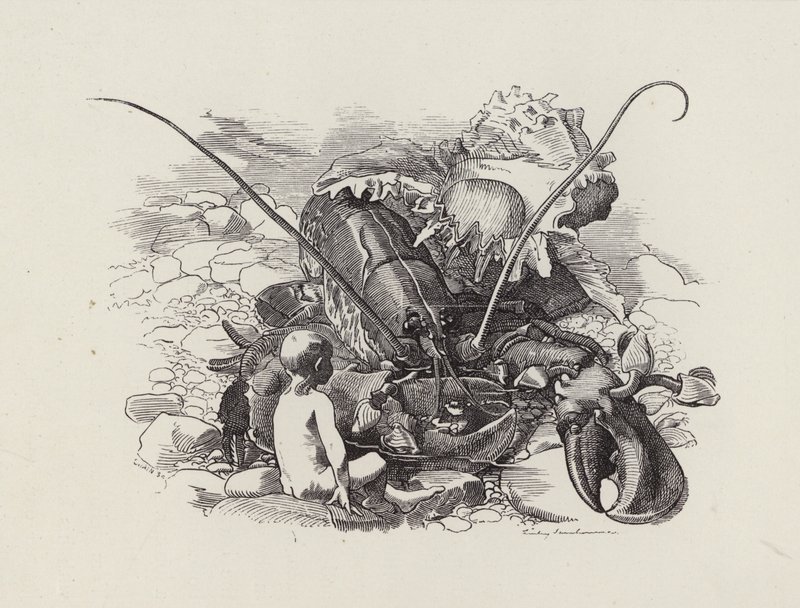 Illustration för The Water-Babies av Charles Kingsley (gravyr) av Edward Linley (after) Sambourne