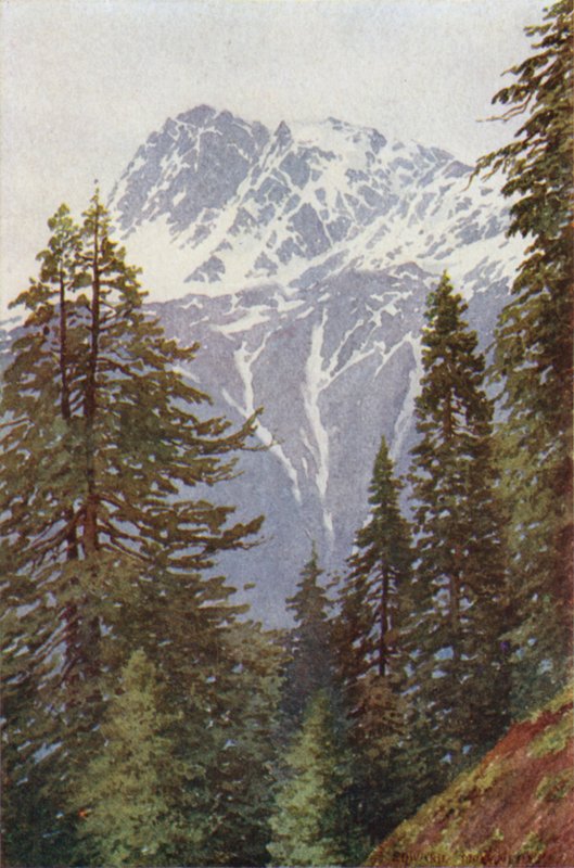 Kotwal från skogen ovanför Kangan, Sind Valley av Edward Mary Joseph Molyneux