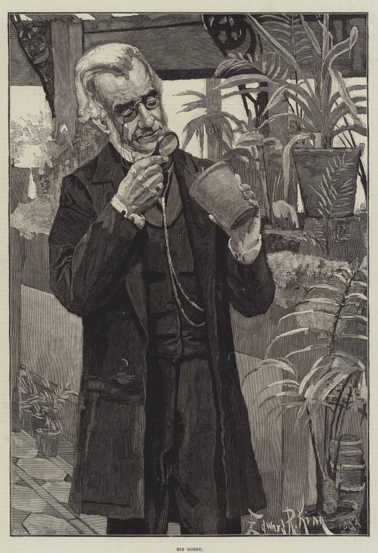 Hans hobby av Edward R. King