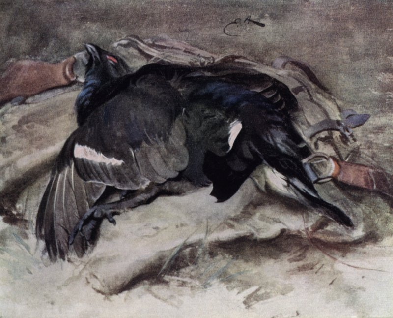 Orre av Edwin John Alexander