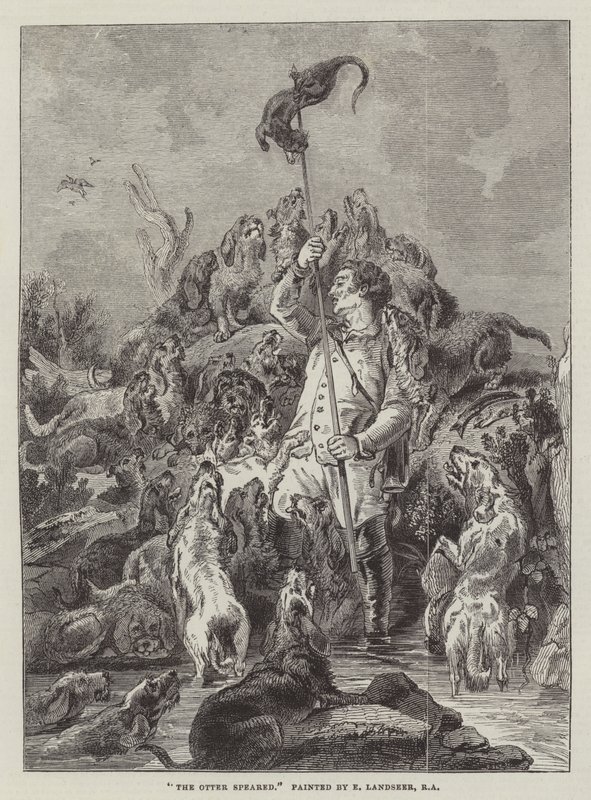 Otter Speared av Edwin Landseer