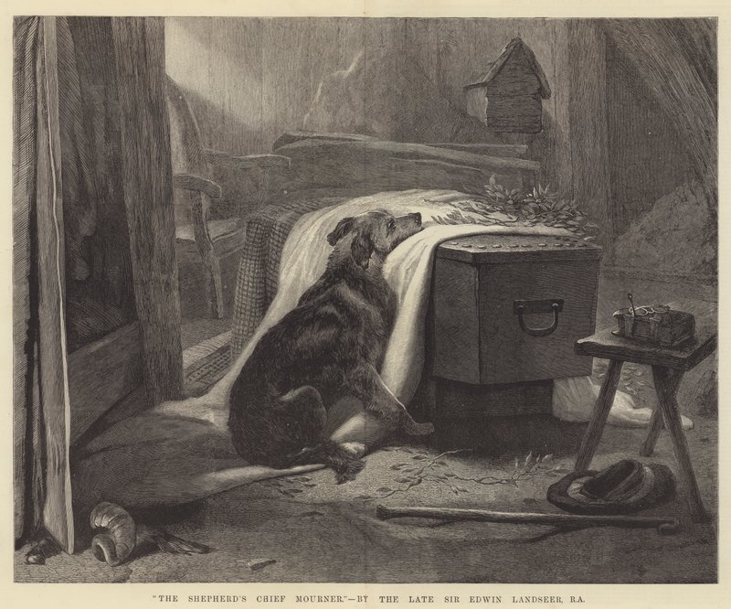 Herdens huvudsörjande av Edwin Landseer