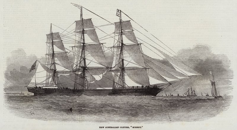 Ny australisk Clipper, Speedy av Edwin Weedon