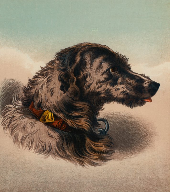 Hjortens hund () (färglitografi) av Edwin (after) Landseer