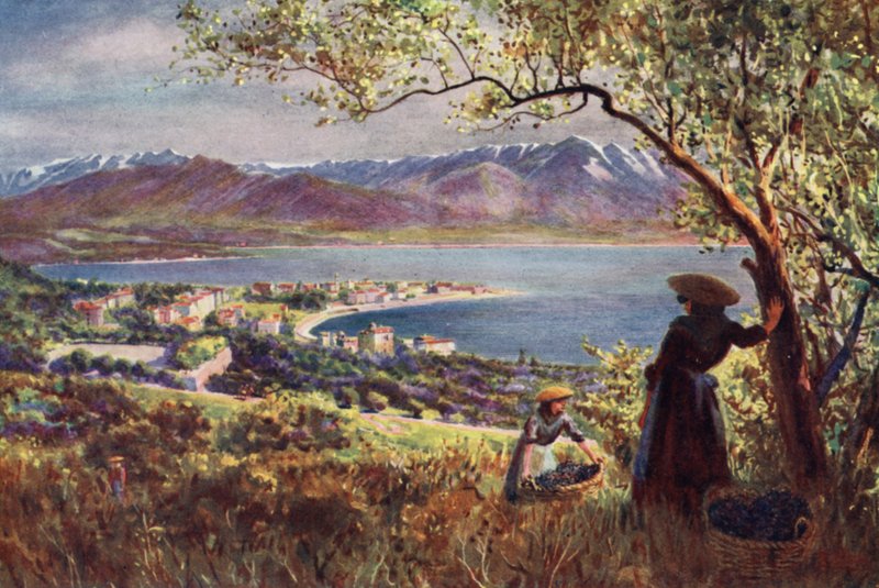 Korsika: Översikt över Ajaccio (färgfoto) av Edwin Arthur Norbury