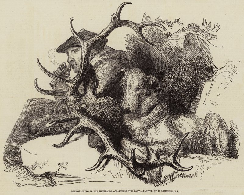 Deer-Stalking i höglandet, tittar på kroppen av Edwin Landseer